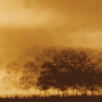 Infinte Light Ltd - Infinite Light Ltd